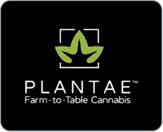 Plantae