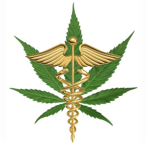 Toucannabis Wellness Co. & Dispensary (Temporarily Closed)
