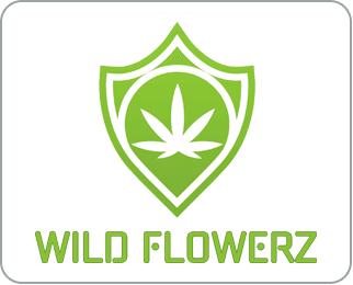 Wild Flowerz logo