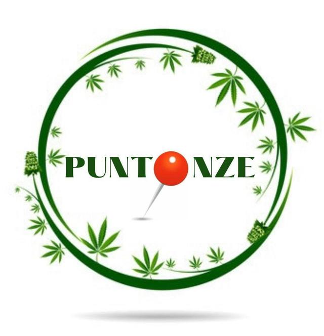 PuntOnze