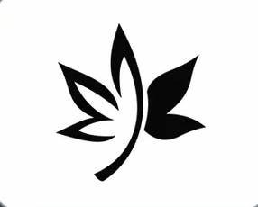 HighLife Cannabis Guelph (QBud Cannabis)