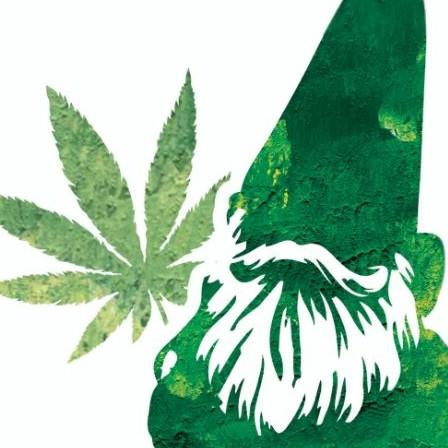 Green Gnome Holistics logo