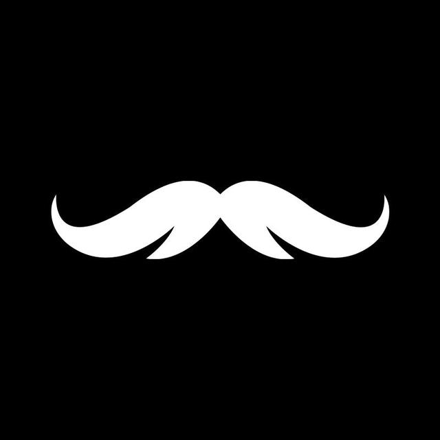 Stache logo