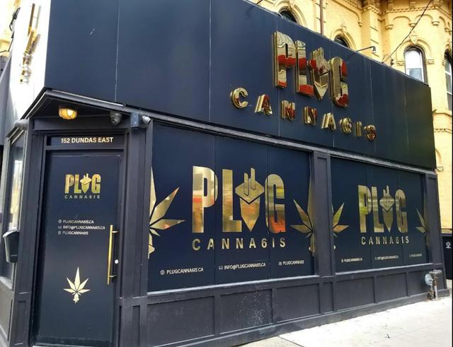 Plug Canna6is Cannabis Store logo