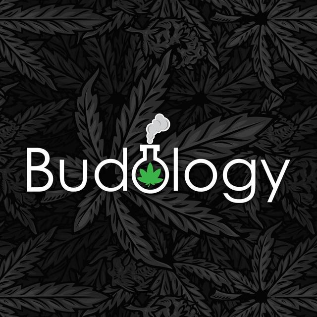 Budology