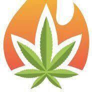 Haze N Blaze Dispensary logo