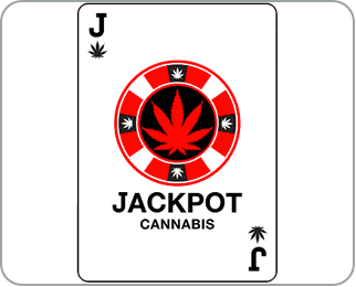 Jackpot Cannabis logo