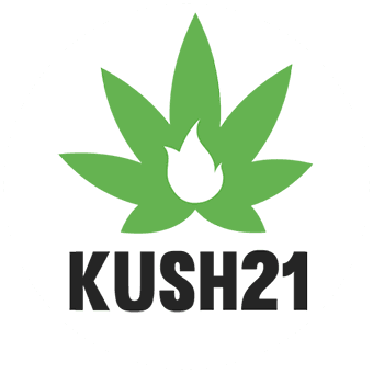 Vashon Times 21 logo