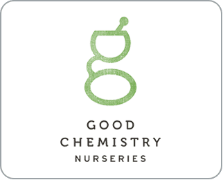 Good Chemistry - Lynn