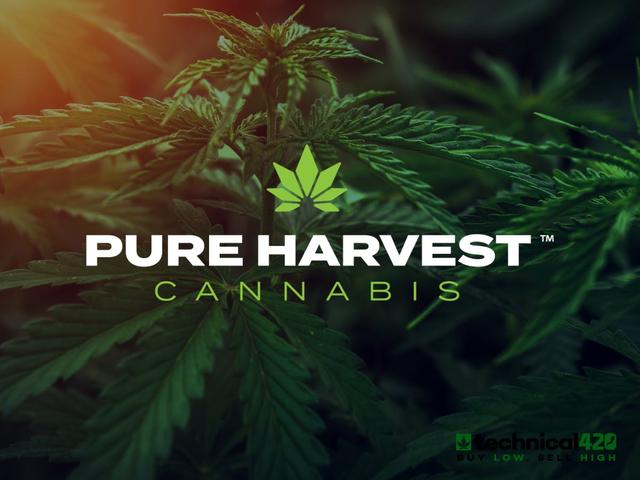 Pure Harvest Cannabis Dispensary