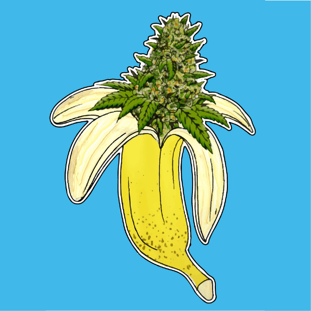 Banana Leaf Dispensary logo