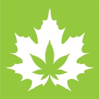 Fire & Flower |Cannabis Store