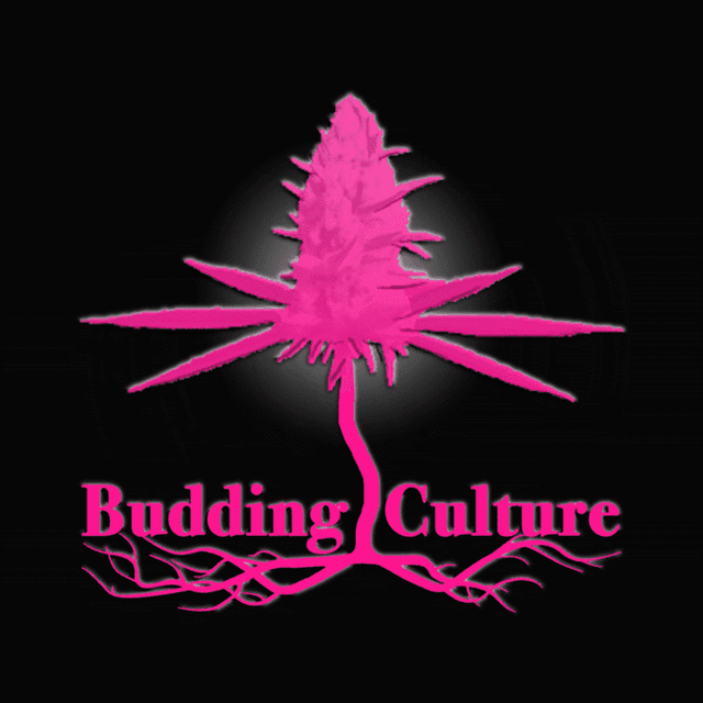 Budding Culture logo