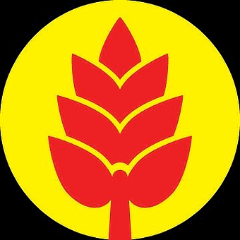 CTP Botanicals Plus logo