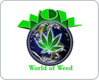 WOW World of Weed Cannabis Store