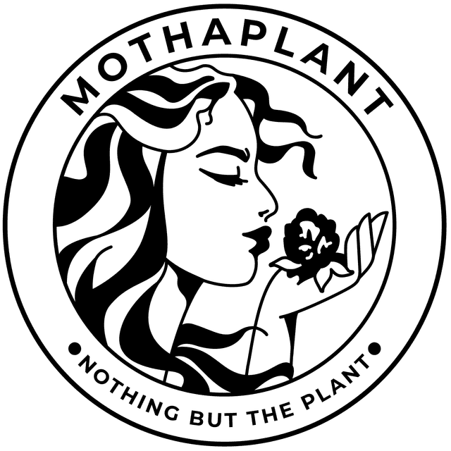 MothaPlant Dispensary logo