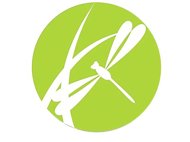 Dragonfly Wellness Center logo