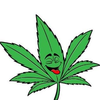 MK'S Cure It With Cannabis,LLC logo