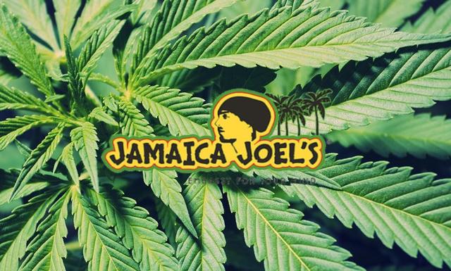 Jamaica Joel's logo