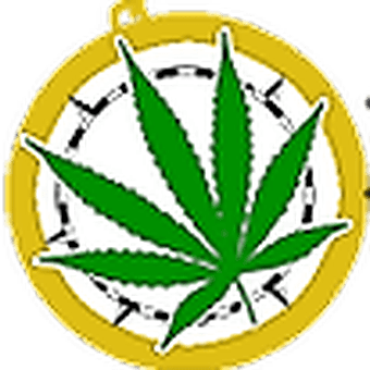 Discovery Cannabis Waldport logo