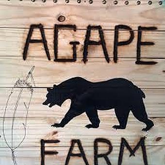 Agape Farms Dispensary logo