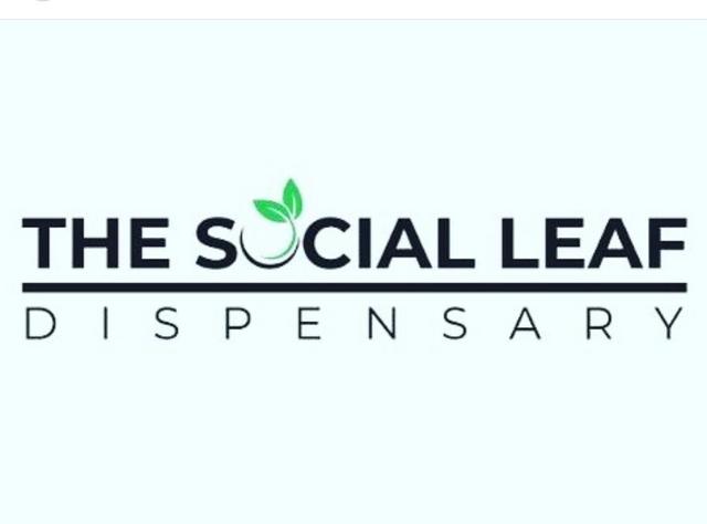 Social Leaf logo