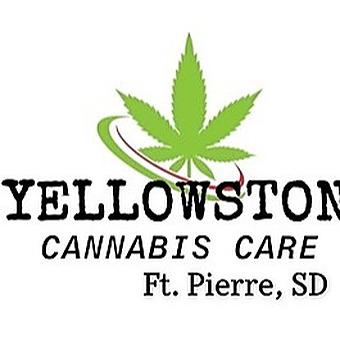 Yellowstone Cannabis Care - A Dakota Green Cultivators Dispensary logo