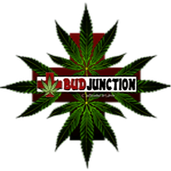 Bud Junction logo
