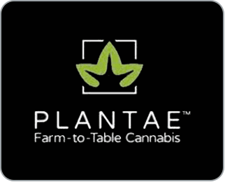 Plantae logo