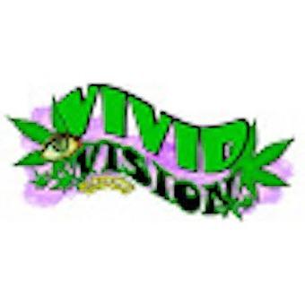 Vivid Vision Alternative Medicine logo