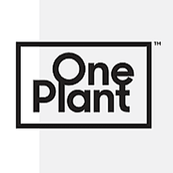 One Plant Cannabis Dispensary - Kingston