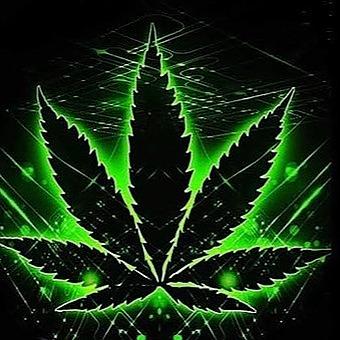 Green Acres medical cannabis Dispensary logo