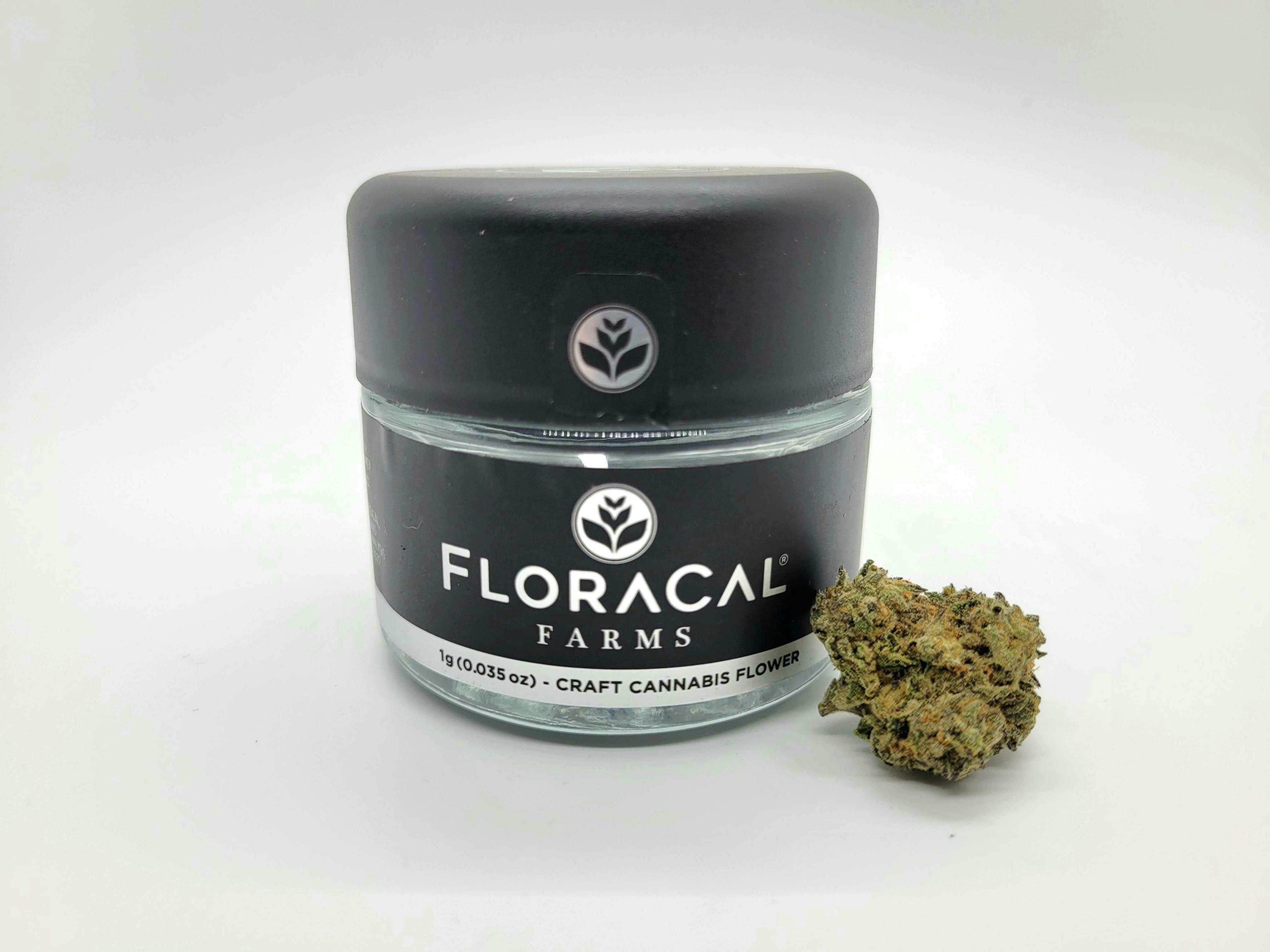 Blulato Strain by Floracal