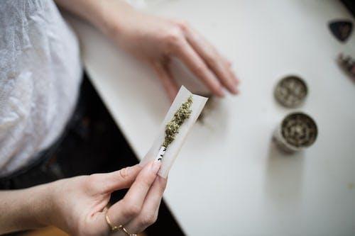 Person holding rolling paper with cannabis